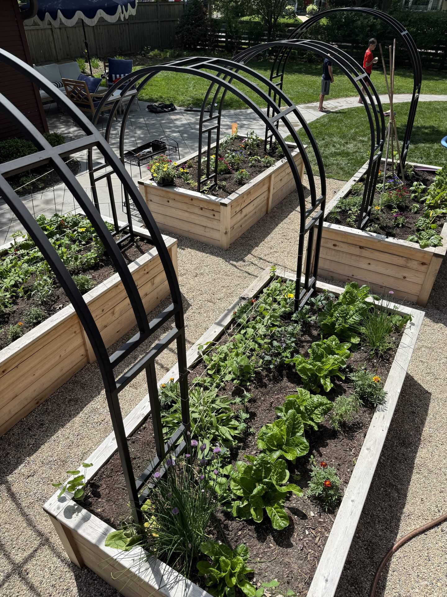Raised beds with arches